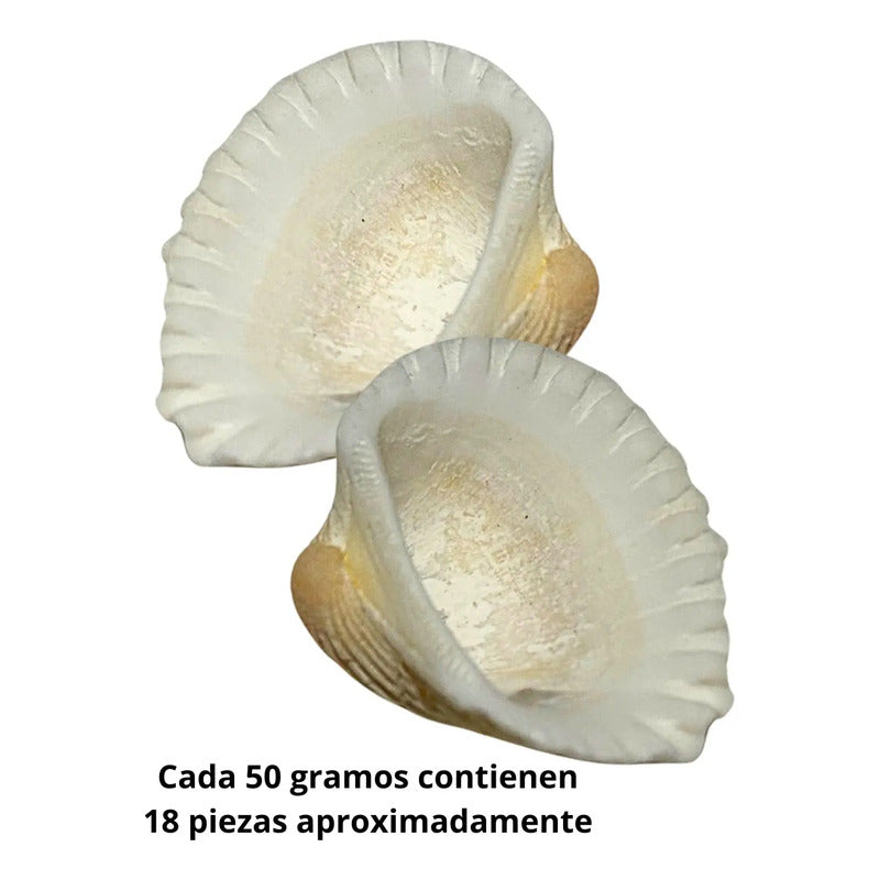 50 Gramos Piedra De Mar Natural Con Orificio Para Dije Blanco