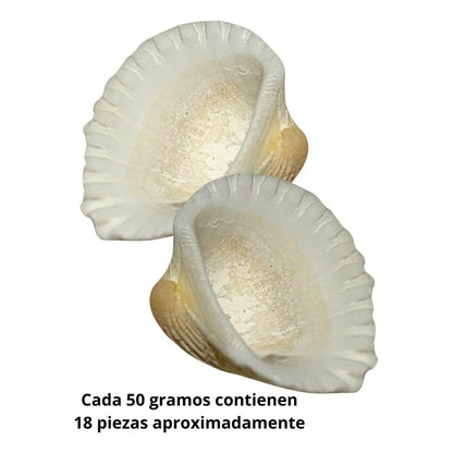 50 Gramos Piedra De Mar Natural Con Orificio Para Dije Blanco